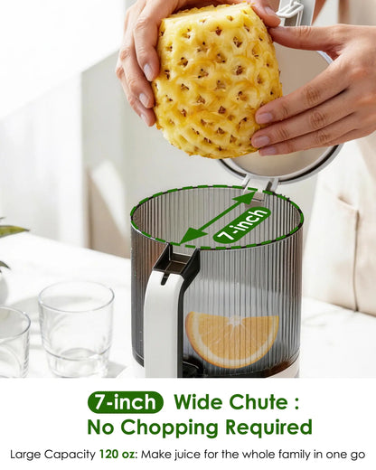 3 in 1 Masticating Juicer with Wide Feed Chute